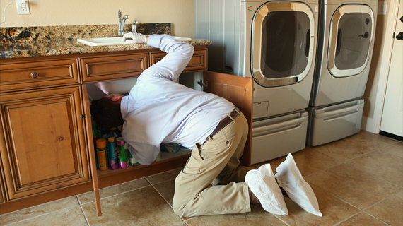 Home pest inspection - kitchen sink infestations